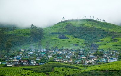 Top Tourist Spots in Munnar for your bucket list