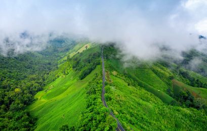 What Makes Munnar Resorts ‘Good’? Don’t Miss These Clues !