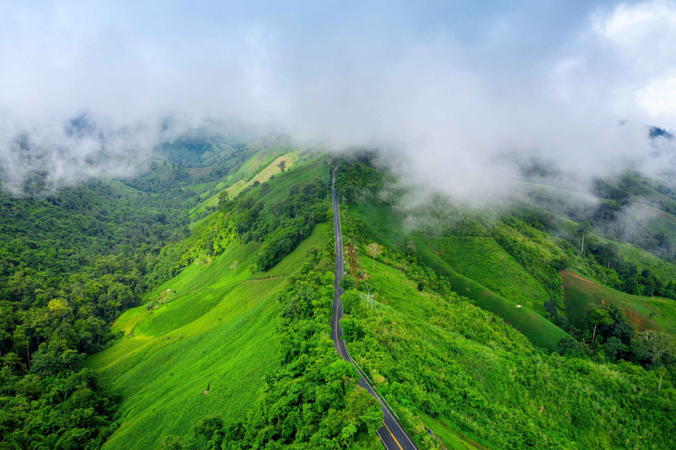 What Makes Munnar Resorts ‘Good’? Don’t Miss These Clues !