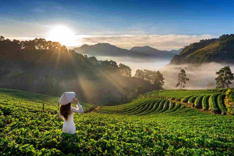 Munnar hill view near Munnar resorts