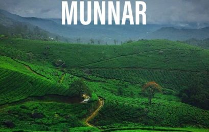 Planning Your Next Trip? Here Are the Best Places to Explore in Munnar!