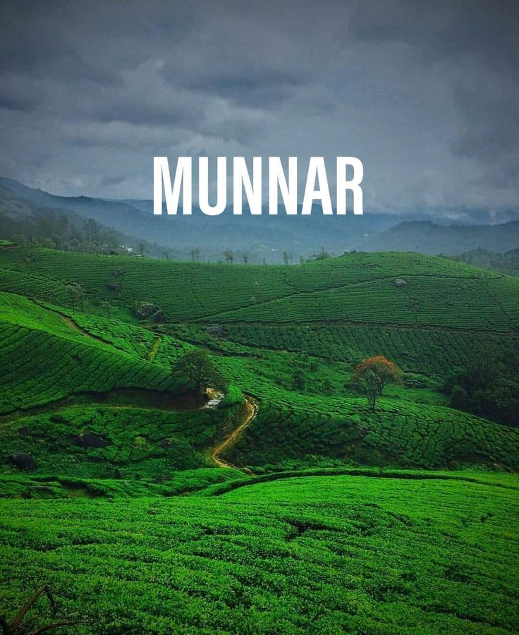 Image of one of the best places to explore in Munnar