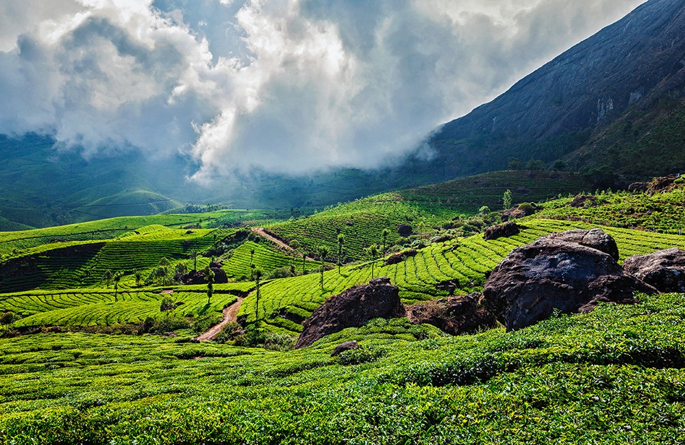 image of a best time to visist in munnar