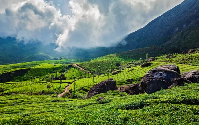 Haunted places in Munnar! Curious About the Ghosts People Talk About ?