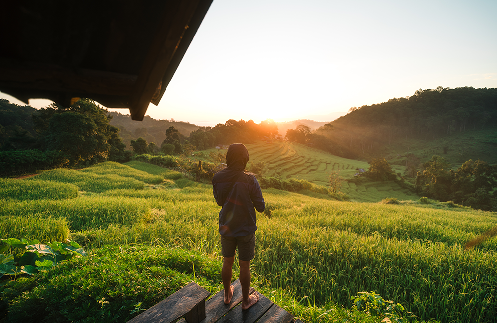 Image of Munnar Travel Experience