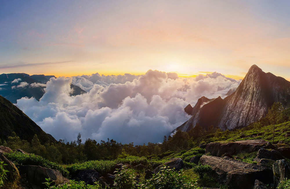 Is Top Station the Best Viewpoint in Munnar? Honest Comparison