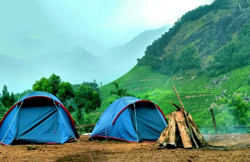 Camping tents in Munnar hills showing affordable munnar trip cost.