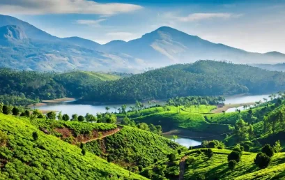 Munnar in May Travel Guide: Top Attractions, Weather & Tips 