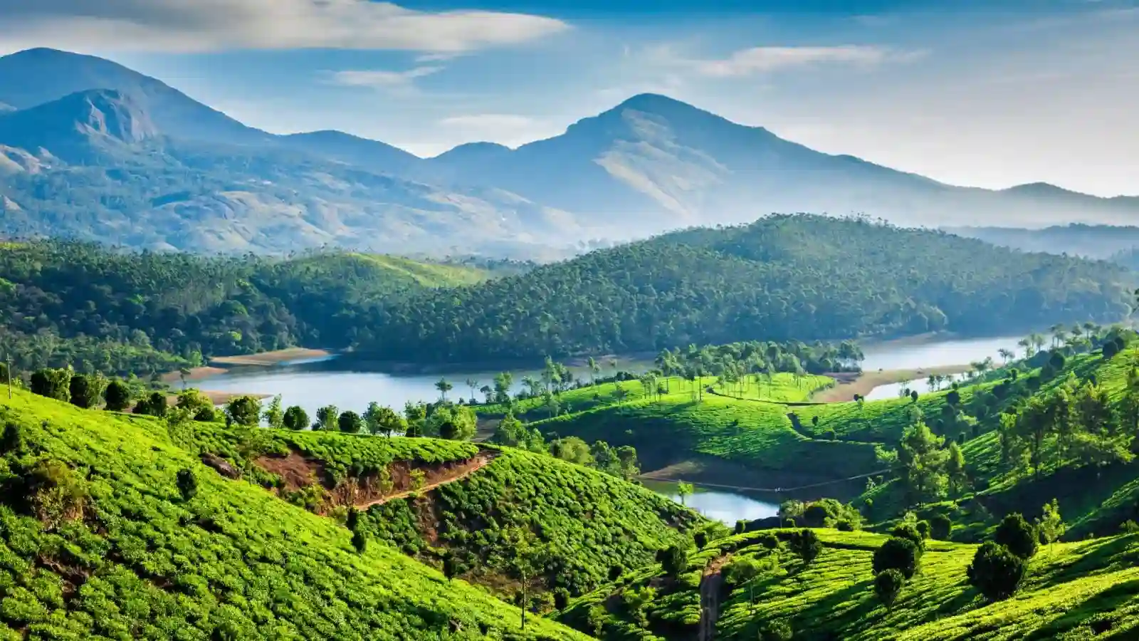 Munnar in May Travel Guide: Top Attractions, Weather & Tips 