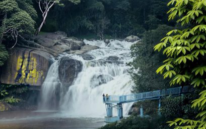 Exploring the Most Beautiful Hidden Waterfalls in Munnar
